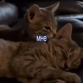 #пара пустяков>♡<#песня#просто#топ#