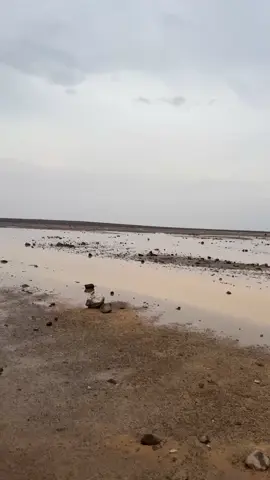 يالله بليلً يقض المسايل والشعاب ⛈️⛈️ #الحويقل #خالدالبريك #المطر #الربيع #البرق 🌩️🌩️