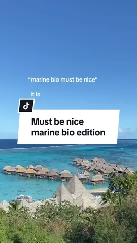 If you’re passionate about the ocean, it definitely is really nice!!! What do you want to know about the field of marine science? #marinebiologist #MarineBiology #MarineBio #marinebiologytok 