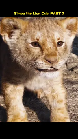 #fyp #lion #foryoupage #wildlife #animalsworld 