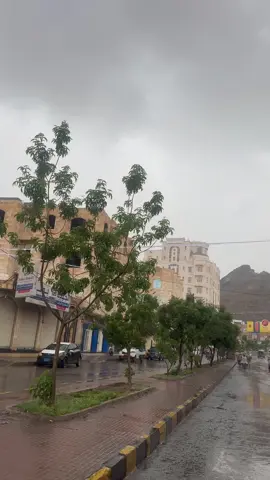 #صنعاء_بيت_بوس #viral #fypシ #اليمن🇾🇪المملكة🇸🇦 