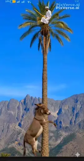 حمار يركب النخله كوميدي #ai  #ذكاء_اصطناعي  #اكسبلورexplore  #الشعب_الصيني_ماله_حل 