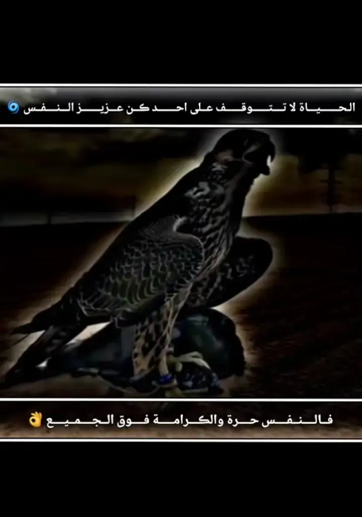 #تصميم_فيديوهات🎶🎤🎬 #تصاميم_جزار #مصممين_العراق #مالي_خلق_احط_هاشتاقات🧢 #متابعه_ولايك_واكسبلور_احبكم #تيم_أيكونز #تفاعلكم_لايك_متابعه_اكسبلوررررراexplore #greenscreen #unfrezzmyaccount 