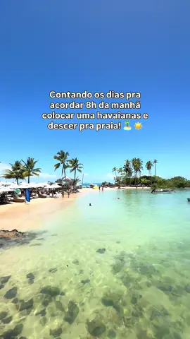 Contando os dias pra acordar 8h da manhã colocar havaianas e descer pra praia! 🏝️ ☀️ #morrodesaopaulobahia🤩 #morrodesaopaulo 
