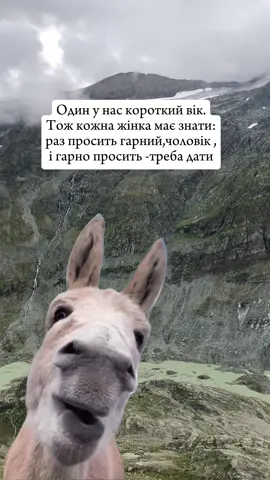 @smartukraine.com.ua #жарти#mem##жарти #приколи#українськи меми меми про компʼютер, меми про телефон, меми про зарядку, меми про вайфай, меми про інтернет проблеми, меми про батьків, меми про дітей, меми про сімʼю, меми про реальне життя, меми для гарного настрою, меми для сміху, меми для релаксу, меми для вечора, меми для , смішні меми, українські меми, меми 2025, топ меми, нові меми, прикольні меми, ржачні меми, смішні картинки, смішні відео, смішні історії, меми для всіх, меми для друзів, меми для підлітків, меми про школу, меми про роботу, меми про навчання, меми про студентів, меми про хлопців, меми про дівчат, меми про стосунки, меми про любов, меми про друзів, меми про тварин, меми про котів, меми про собак, меми про життя, меми про реальність, меми про інтернет, меми про соцмережі, меми про ТікТок, меми про Instagram, меми про Україну, меми про політику, меми про гроші, меми про їжу, меми про каву, меми про сон, меми про лінь, меми про прокрастинацію, меми про ранок, меми про ніч, меми про понеділок, меми про вихідні, меми про літо, меми про зиму, меми про осінь, меми про весну, меми про погоду, меми про дощ, меми про спека, меми про холод, меми про друзів і компанію, меми про вечірки, меми про алкоголь, меми про вечори, меми про побачення, меми про кіно, меми про серіали, меми про ігри, меми про  інстаграм, меми для тікток, меми українською, меми приколи, меми сміх,меми розваги, меми приколи життя, меми щодня, меми топ, меми ржачні, меми кращі, меми популярні, меми ютуб, меми вайни, меми розсміши, меми добрі, меми жартівливі, меми на всі випадки