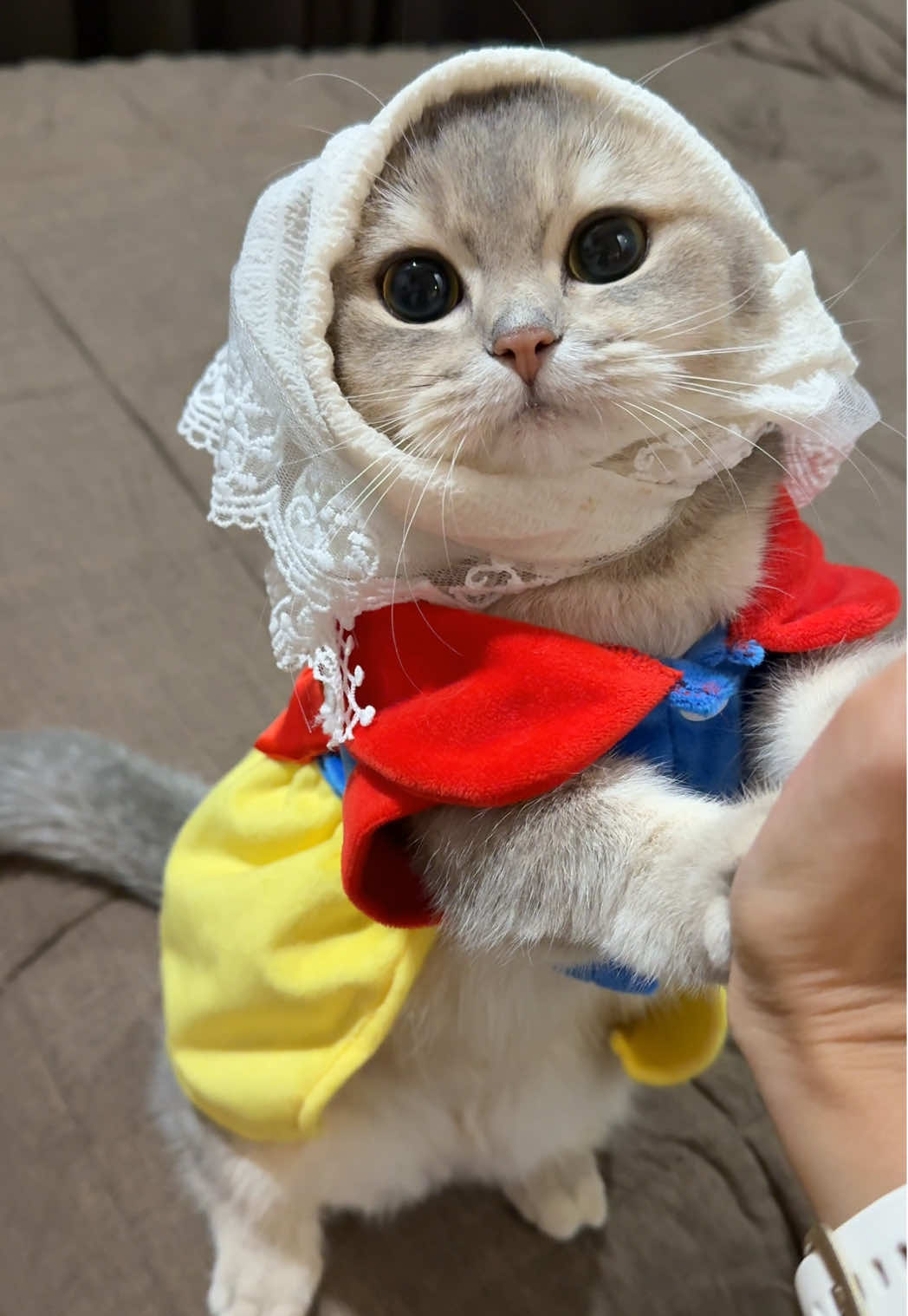 ซาหนิมก็พูดเมี๊ยวๆบอกกันบ้างได้ป่าว💗