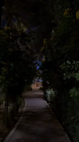 ❤️ #الرياض #ممشى_واحة_نجد #fyp #explore #riyadh 