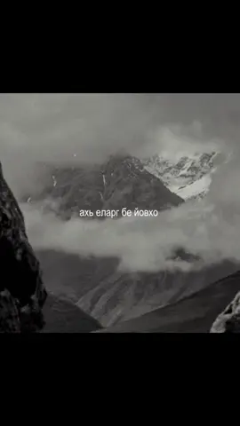 #chechnya #95 #rec #чечня #fyp 