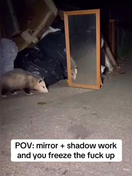 Tell me I’m not the only one!  #shadowwork #mirrorwork #nervoussystem #HealingJourney 