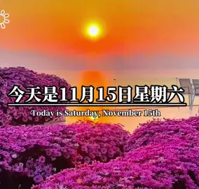 #早安：11月15日🥂🌹