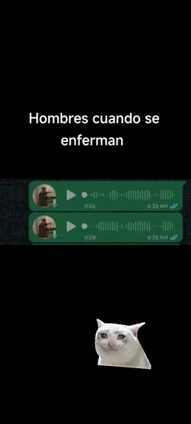 #enfermo #cat #hombres #foryou #whatsapp 