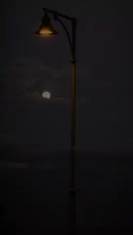 عارف💔 #المخرج_يحي_البحيري  #شعر#استوريات#حزن #مؤمن_عيد