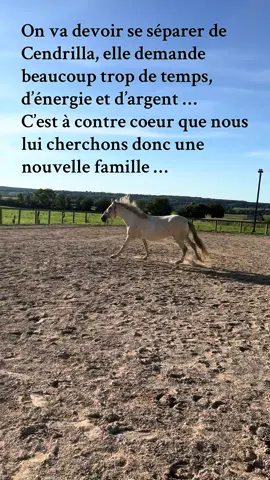 Mp si intéressés 😔  #creatorsearchinsightview #horsetok #sportequestre #equitation #cruzado 