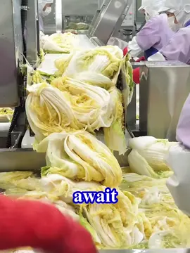 👉🇰🇷The secret behind this beloved food #food #factory #korean #clean 