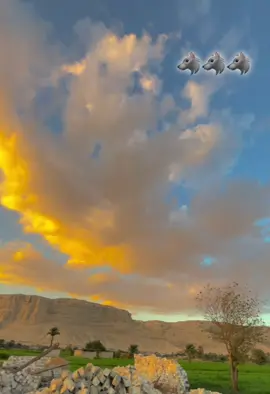 #الصعيد🐺#المنيا_اسيوط_سوهاج_قناا_الاقصر_اسوان_ 