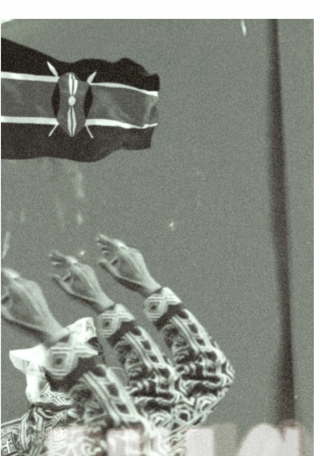 Karibu Lamu #kenya #lamutiktokers #nairobitiktokers #kenyantiktok🇰🇪 #tanzaniatiktok 