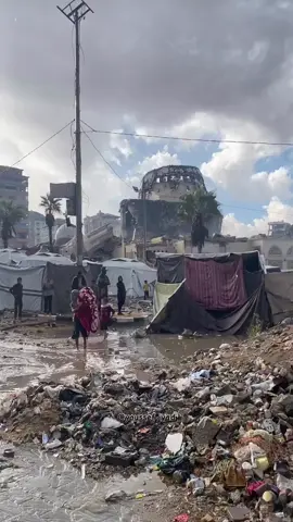 خذنا يا الله من هالحياة.... أحد أطفال غزة يقف مذعورًا وسط مياه الأمطار بعد أن أغرقت الخيام أول موجة من المنخفض قلب صغير يرتجف فوق أرض موحلة.