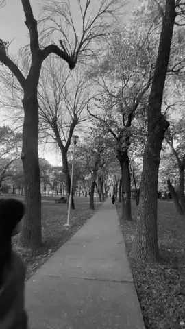 #CapCut  #fyppppppppppppppppppppppp 🩶