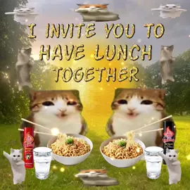 yessss 😸💗✨😽 #catcore #cats #popowpartner #buldak #catsoftiktok 