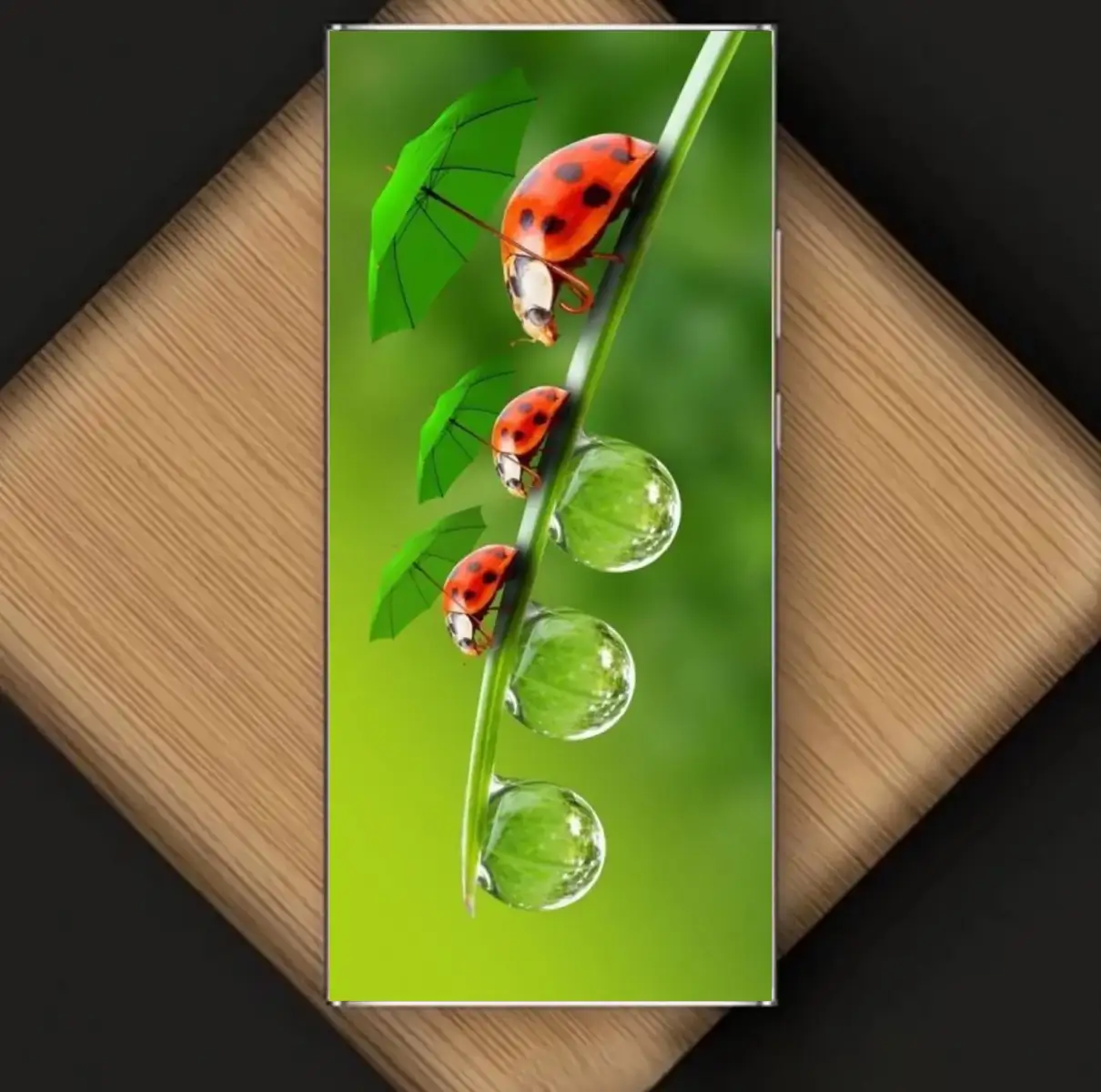 Beautiful And Cool Wallpapers For Mobile Home &LOCK SCREEN 👍👀 || Must Try To Change Your Screen Wallpapers ✅️‼️ #wallpaper #hdwallpaper #8kwallpaper #fypviral #1m 