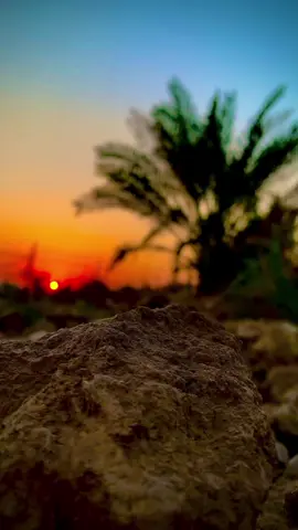 #راحلين_بغير_ودا؏🕊💔 #شعراء_وذواقين_الشعر_الشعبي🎸 #الشعب_الصيني_ماله_حل😂😂 #تصويري_احترافي_الاجواء👌🏻🕊😴 #سيد فاقد القصيده الجديده 