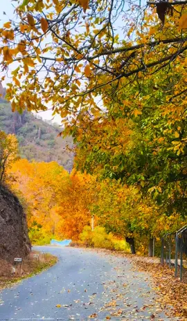 گوندئ هرورئ #if #foryou #duhok_zaxo_amedi_semel_akre_hawler 