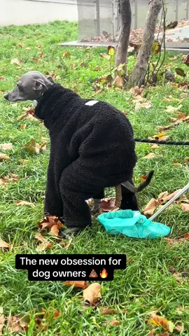 It’s called Swoop 💩 #dog #dogproducts #petproducts 