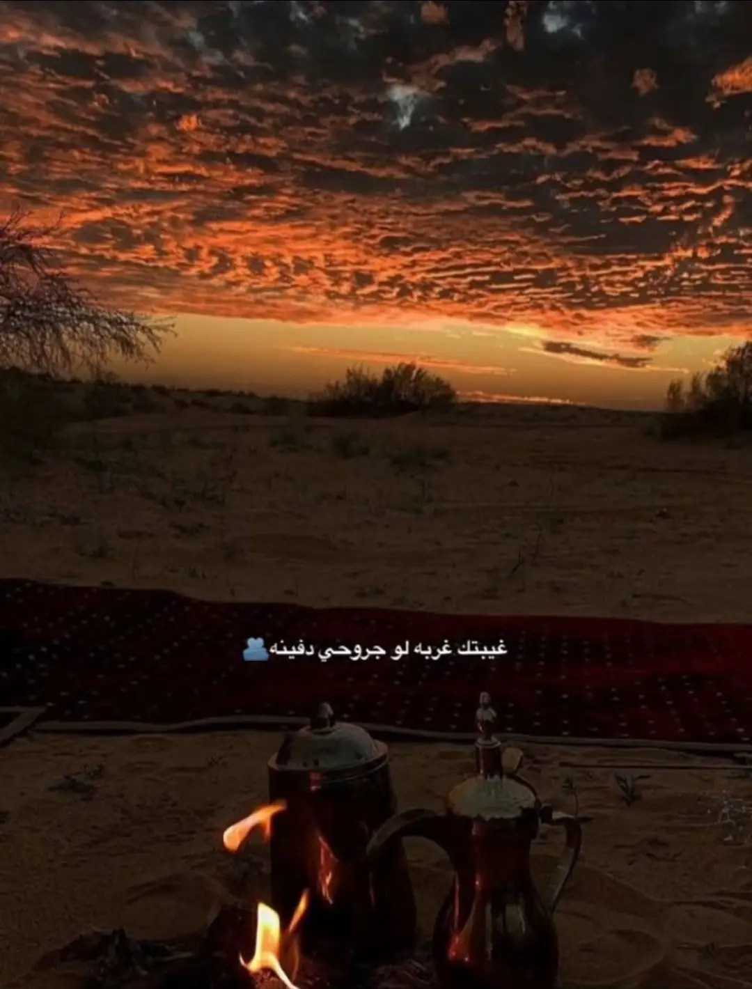 #اسعد_الله_جميع_اوقاتكم🌹🌹 #كسبلورررررررررررررررر♥️♥️ 