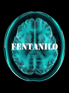 2 miligramos de fentanilo pueden matarte, del tamaño de 3 granos de sal ⚠️💀 #psicologia  #adiccion #saludpublica #neurociencia 