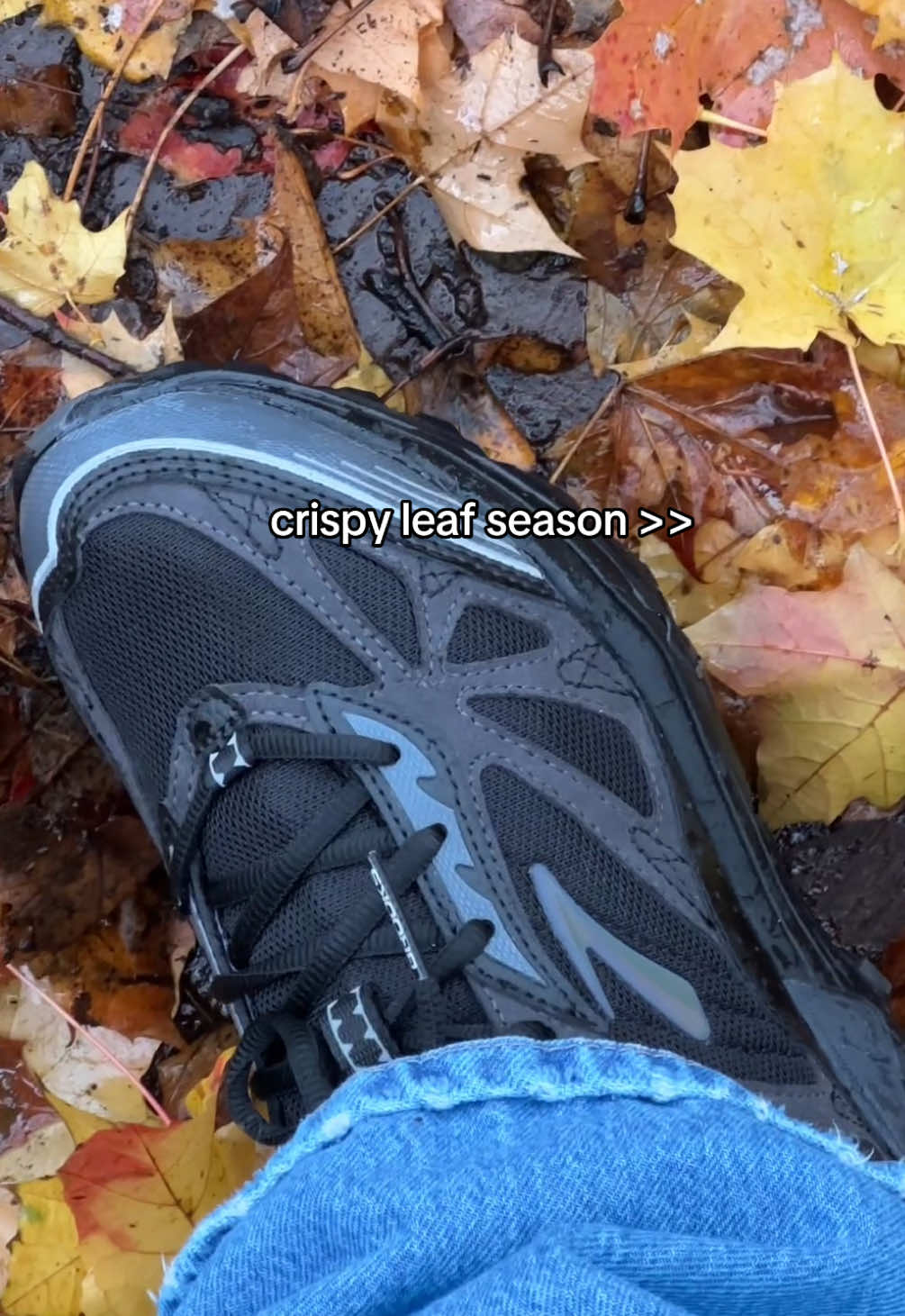 crispy leaf season is indeed 🔥 #fall #fy 