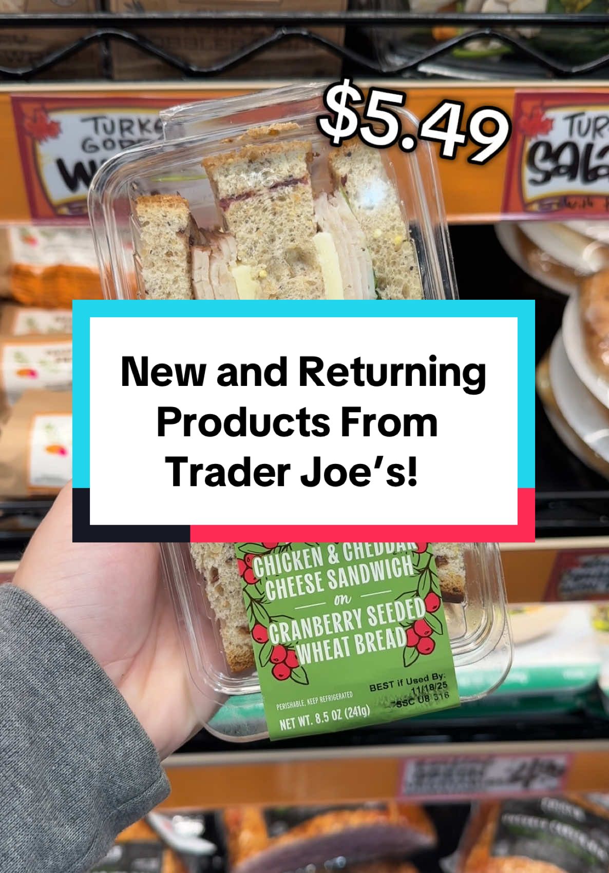 New and Returning Products from Trader Joe’s! #traderjoes #traderjoesfoodreviews #traderjoeshaul #fyp #groceryshopping 