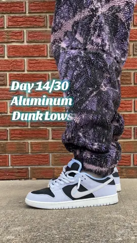 Day 14/30 of #30DaysofSBs Aluminum Dunk Lows. #fyp #heatoverretro #sneakerhead #sneakertok 