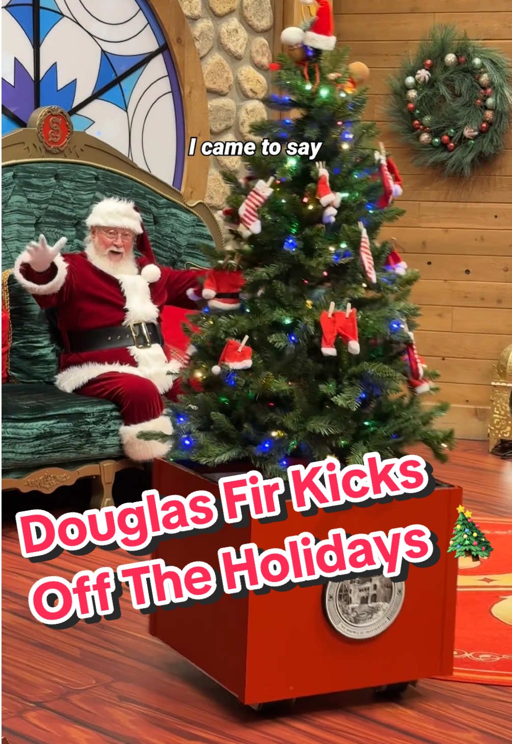 The holidays have fir sure started at #DisneySprings 🎄 #DisneyHolidays #DouglasFir #DisneyWorld #TreeLighting 