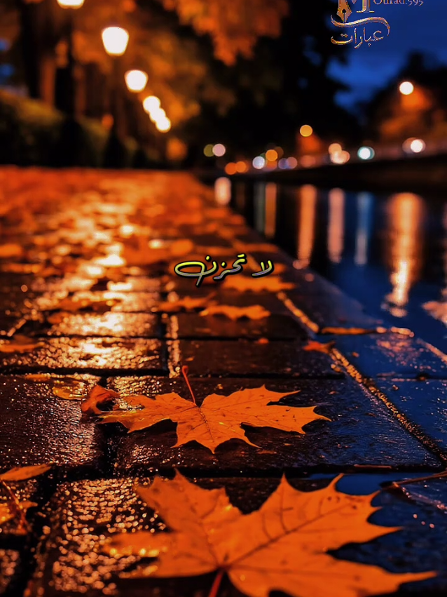 عبارات #creatorsearchinsights #اقتباسات #عبارات #كلمات #خواطر @عبارات 