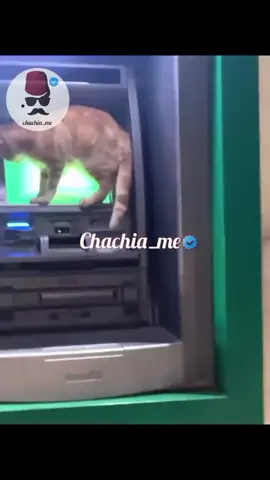 #flypシ #flypシ #flypシ🤗❤️🙏 #الشعب_الصيني_ماله_حل😂😂 #مونتاج 