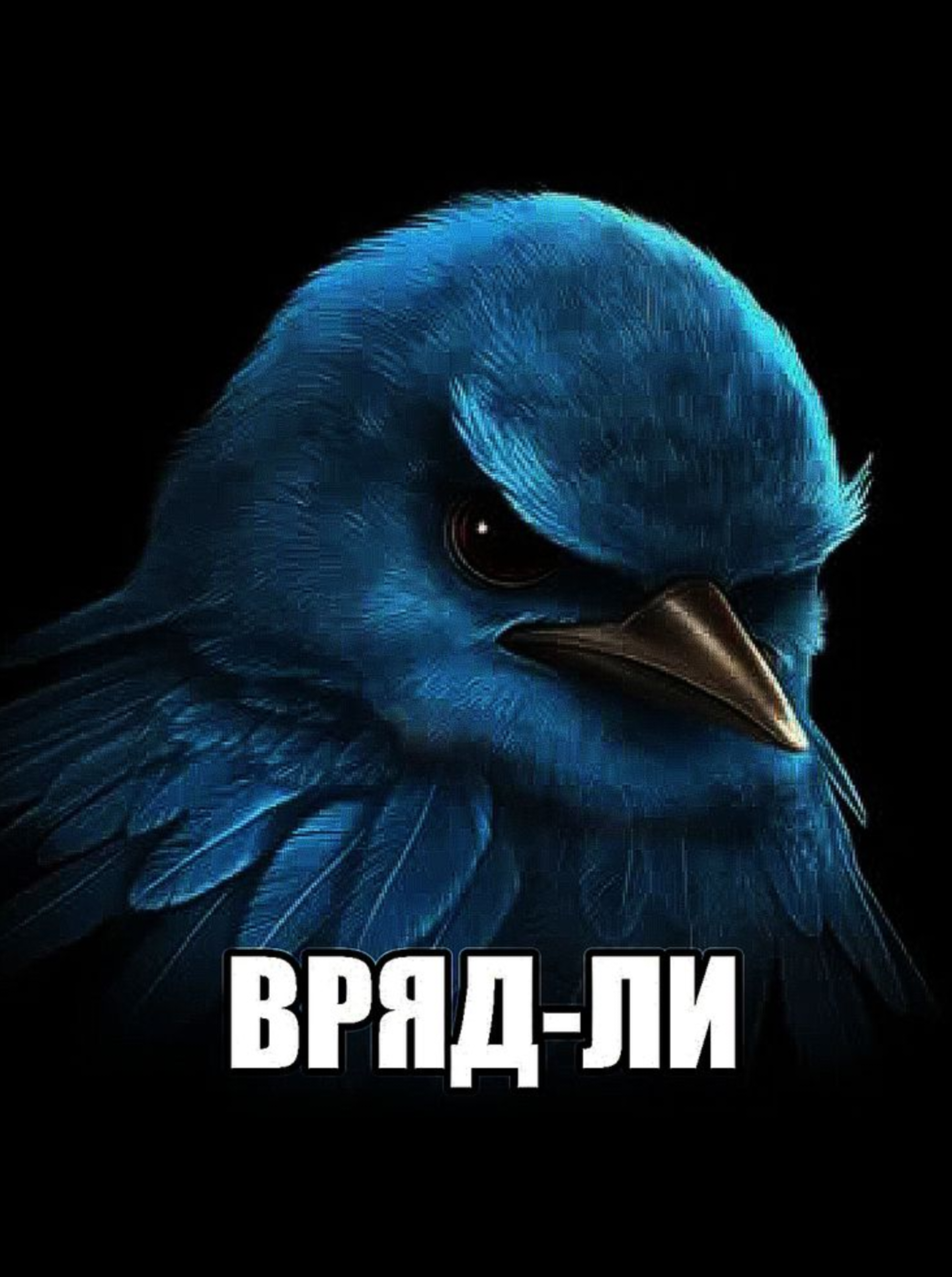 #мемы #мем #meme #mem #fyp 