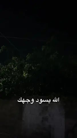 #شوفير_بالوطن_ولا_دكتور_بالغربة #viral #swedan🇸🇪 #fyp #foryou 