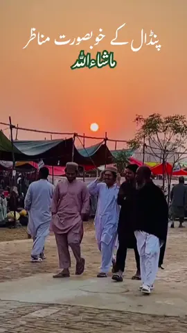 پنڈال کے بہت ہی خوبصورت مناظر