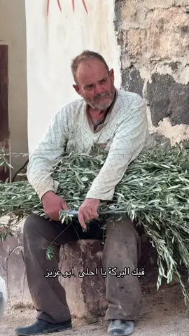 #sesefektleri #عفرين_راجو_بلبل_شيه_جنديرس💚❤️💛 #kurdistan🇹🇯️ #belgium #🇧🇪 