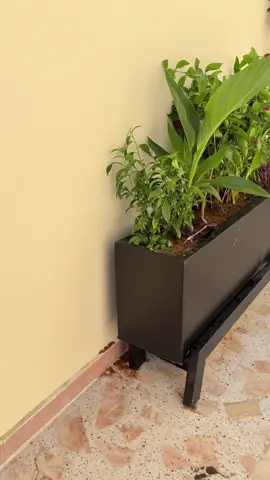 #تنسيق #حدائق_منزلية #جلسات_خارجيه #موسم_الرياض #شلالات #عشب_جداري #موسم_الرياض #عشب_صناعى #الرياض 