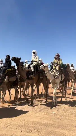 Representation de Ourba.  📍Iriba #Iriba #beribourdumonde🇵🇸🇵🇸🇷🇴🇷🇴🤴🤴🏅 #beritené🇹🇩🇸🇩🔥🔥🔥 #tchad #tchadien🇹🇩tiktok 