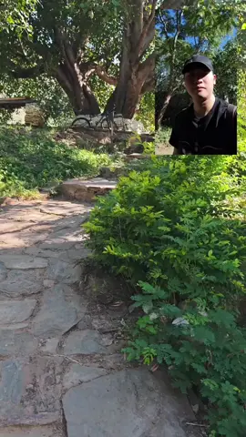 đền Chimi Lhakhang - ngôi đền cầu tự linh thiêng tại Bhutan #dulich #travel #bhutan #chimilhakhang 