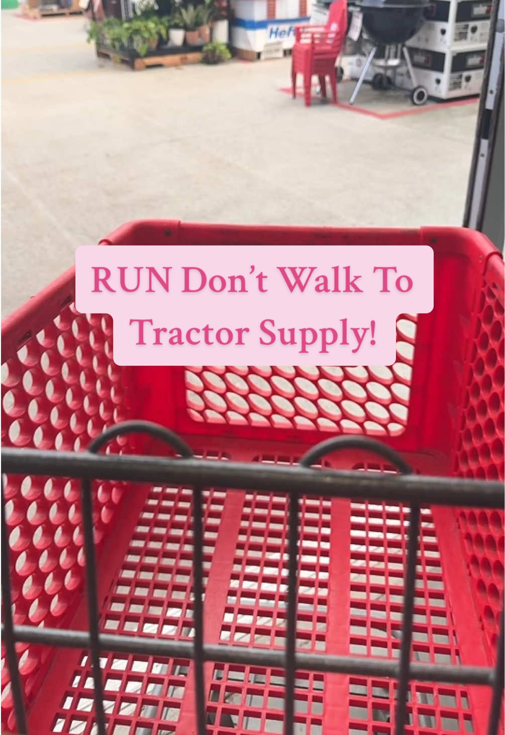 Yall need to go to @TractorSupply IMMEDIATELY. I was just talking about wanting more canning jars and look what happened!!! #canning #clearancefinds #homesteading #tractorsupplyfinds 