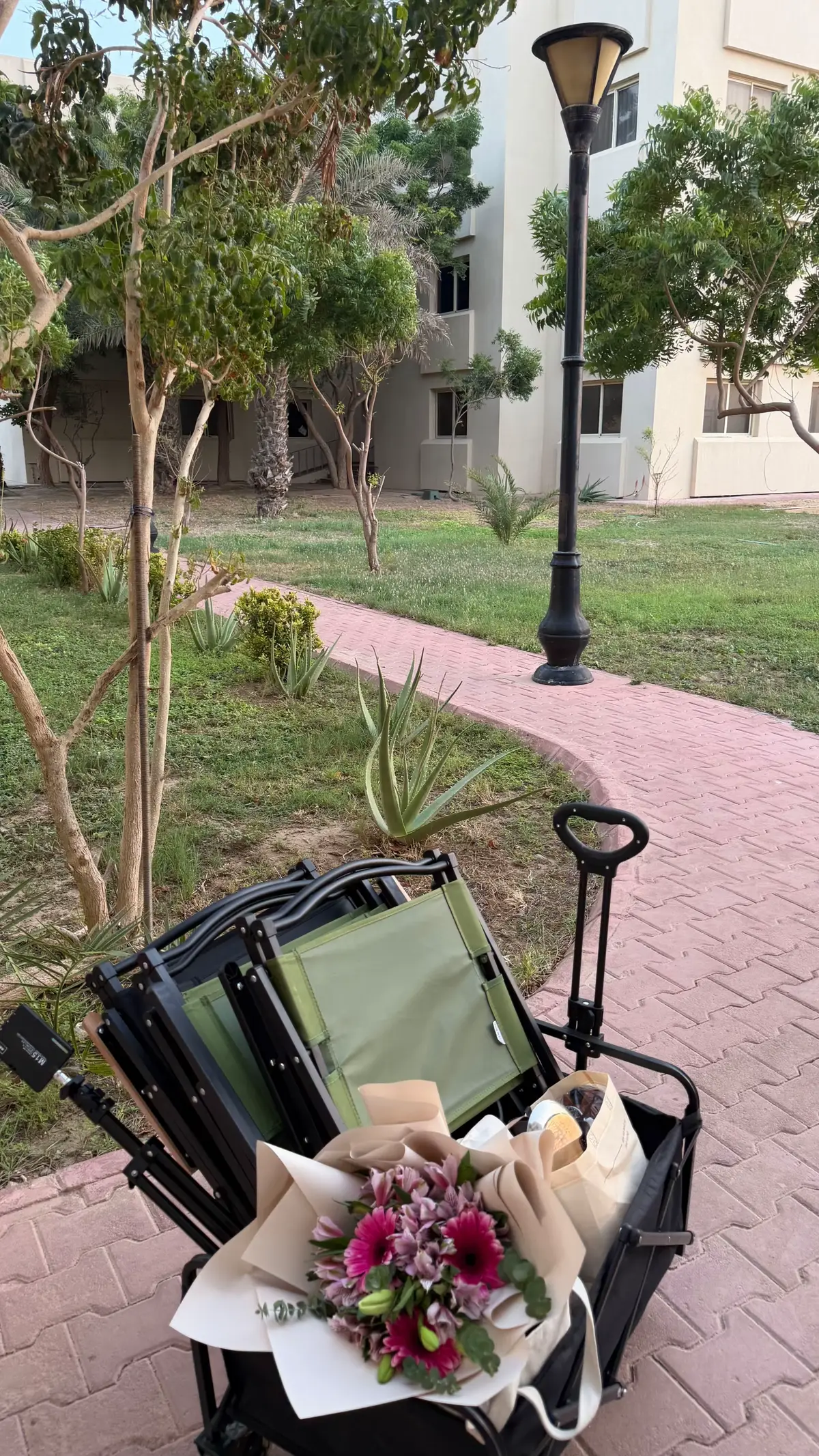 #جلسة_بحر #exblore #اكسبلور #explore #exblore_اكسبلوررررررر 