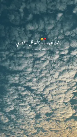 انتَ الوحيد … 🥲🚶🏼‍♂️ #تصويري #تصميمي #لايك #اكسبلور #fyp 