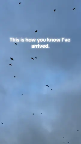 Its the woah for me. @ShelbySmith 