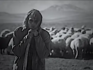 Yamaç”#yamaçkoçovalı #çukur #vartolusadettin #جومالي_كوشوفال #shvaçukur 