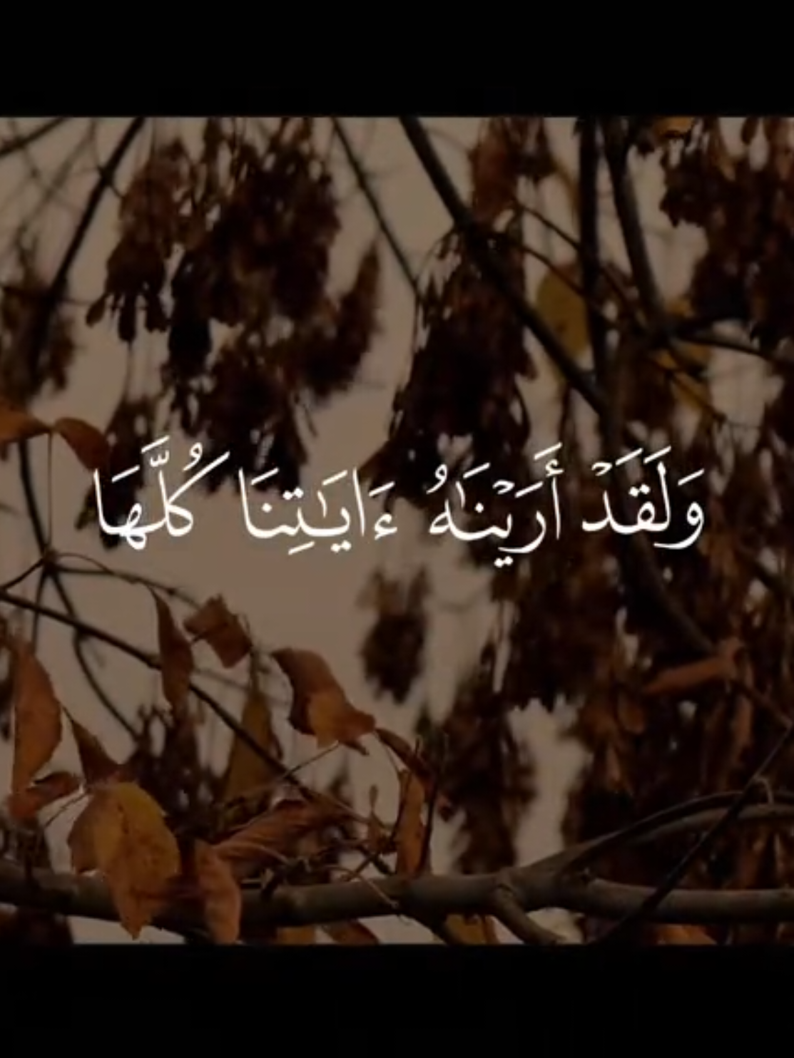 ولقد أريناه آياتنا كلها 🤍 #محمد_ايوب #قران #quran 