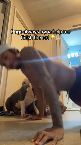 They stay tryna help me finish the set 😂 🐕 #nyc #fyp #dogsoftiktok #americanbully #dogs