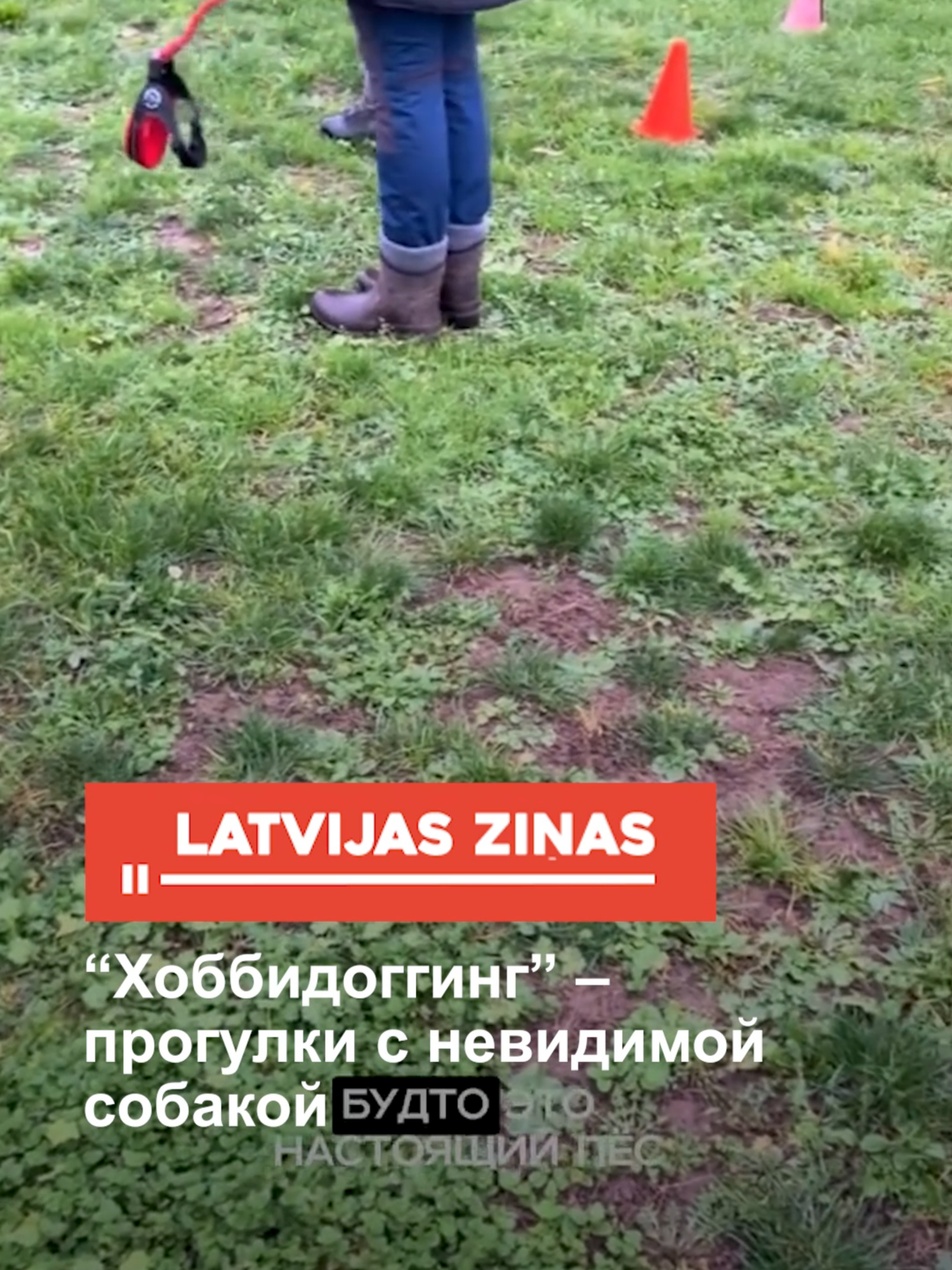 “Хоббидоггинг” – прогулки с невидимой собакой #хоббидоггинг #новости #латвия #latvia #latvija #fyp #latvianews #trendingtopics #breakingnews #latvijaszinas #лучшезнать #новостилатвии #shorts